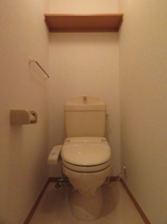 落ち着いた色調のトイレです
