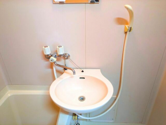 浴室内には小ぶりながら使い勝手の良い洗面ボウルとシャワーが設