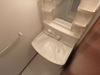 忙しい朝には欠かせない洗面所です