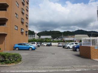 ダイアパレス鷹子の画像