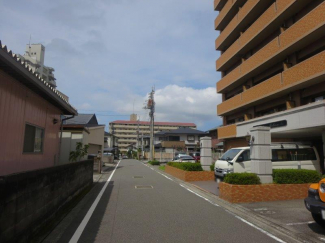 ダイアパレス鷹子の画像