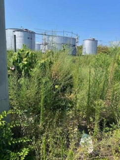 今治市恵美須町３丁目の売地の画像