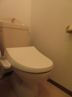落ち着いた色調のトイレです