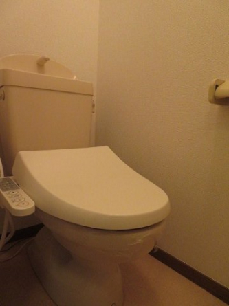 落ち着いた色調のトイレです