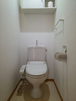落ち着いた色調のトイレです