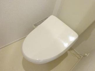 落ち着いた色調のトイレです