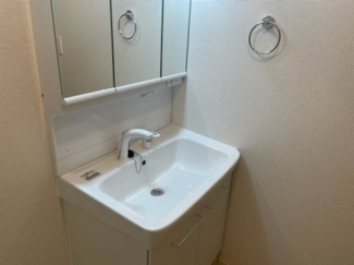 忙しい朝には欠かせない洗面所です