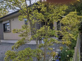 おうち時間を楽しむにはリビングを大好きな空間にするのがいちば