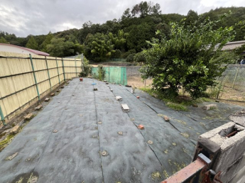 家庭菜園も可能です