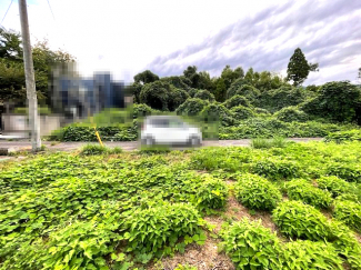 【展望】