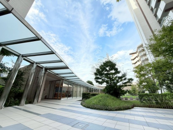 宝塚エリーの画像