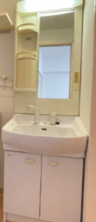 スペースが確保できる洗面所です