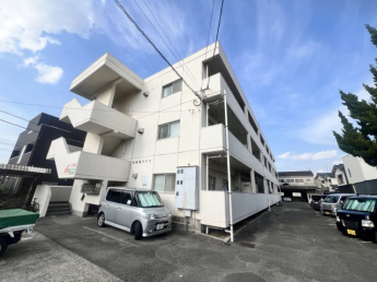 完成写真
