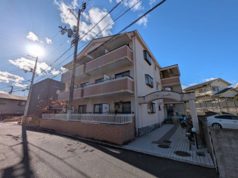 完成写真