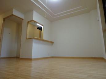 リビング(照明器具付き)