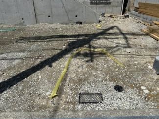 2026年04月11日撮影