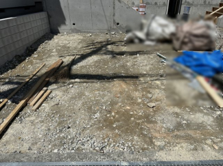 2026年04月11日撮影