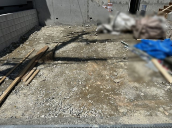 2026年04月11日撮影