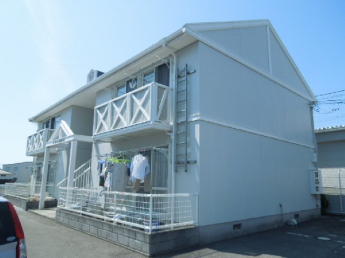 完成写真