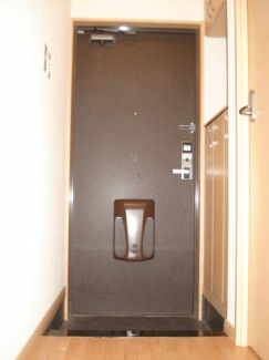 玄関（イメージ）