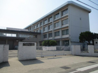 松山市立たちばな小学校まで1742m