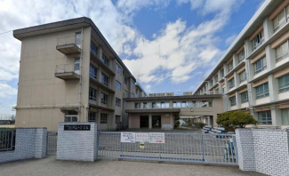 松山市立たちばな小学校まで1300m