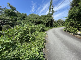 【前面道路含む現地写真】