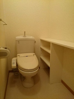 落ち着いた色調のトイレです