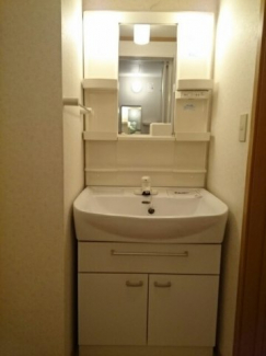 忙しい朝には欠かせない洗面所です