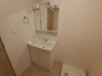 忙しい朝には欠かせない洗面所です