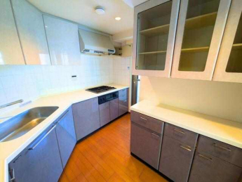 上下の収納に加え、背面にもカウンター収納を備えたキッチン。