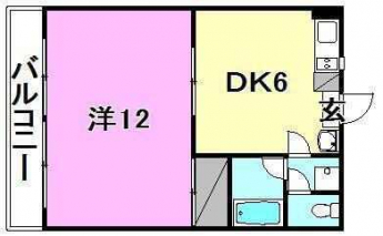 セントポーリア山越の画像