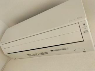 フローレンス小坂の画像