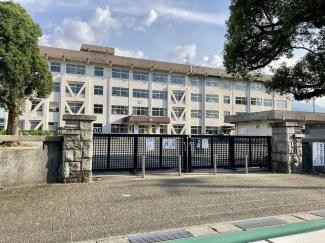 新居浜市立中萩小学校まで1415m