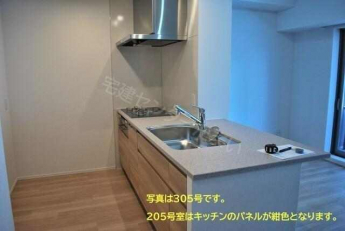写真は305号室のものです。
