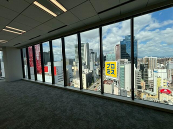 ＵＭＥＤＡ　ＥＡＳＴ　ＣＲＯＳＳの画像