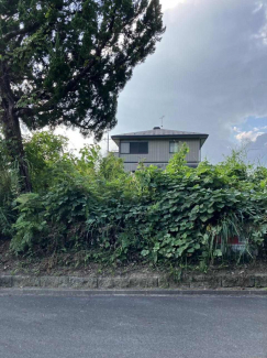 蒲生郡日野町大字村井の売地の画像