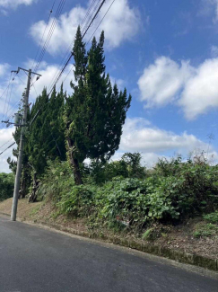 蒲生郡日野町大字村井の売地の画像