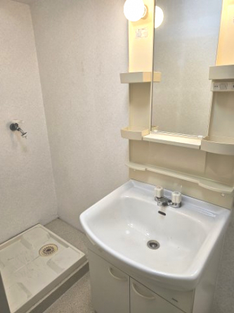 独立洗面台と室内洗濯機置き場です