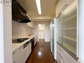 備え付け食器棚つきの使い勝手の良いシステムキッチンになります。収納箇所が非常に多くございます♪