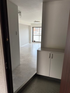 ディオ・ミオ403の画像