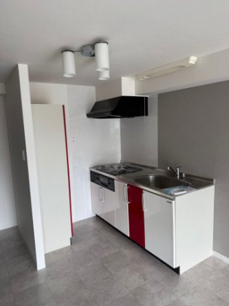 ディオ・ミオ403の画像