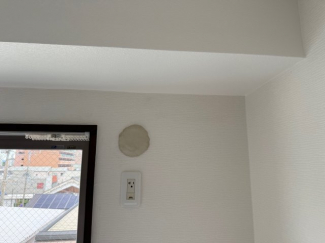 ディオ・ミオ403の画像