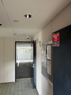 ディオ・ミオ403の画像