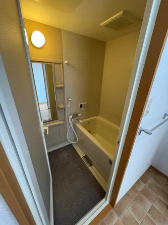 ブールヴァールの画像