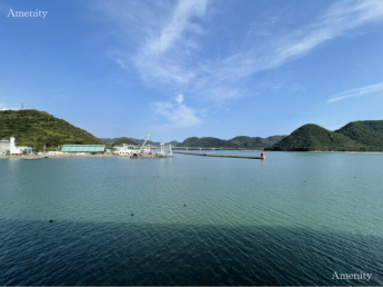 マリンプラザ２０００の画像