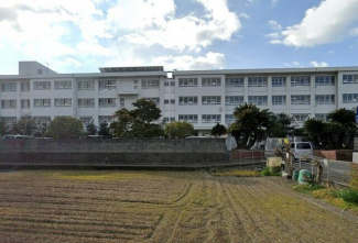 松山市立石井東小学校まで650m
