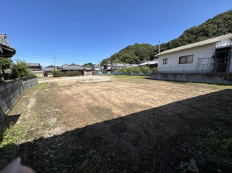 ２０２５／１１／０８　撮影