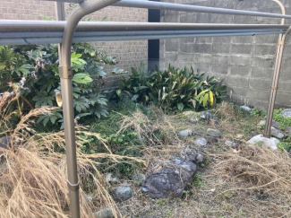 現地土地写真（上物あり・解体後引渡し）