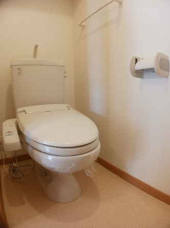 落ち着いた色調のトイレです